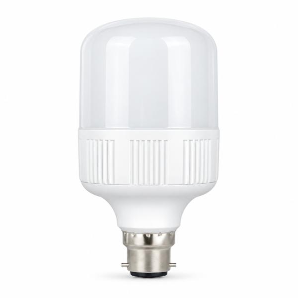 30W LED Bulb Warm White B22 LE 3022-WW
