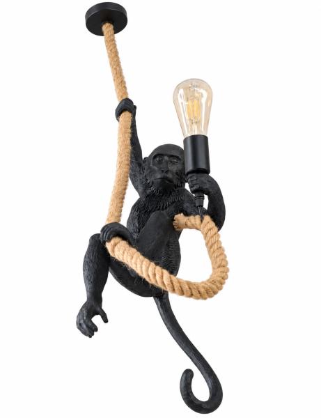 Monkey Rope Pendant Light