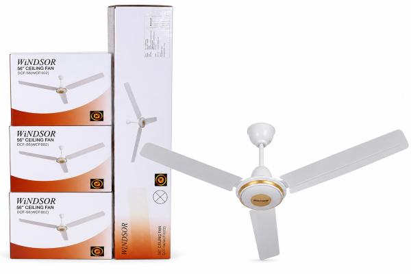 WINDSOR 56"  Ceiling Fan