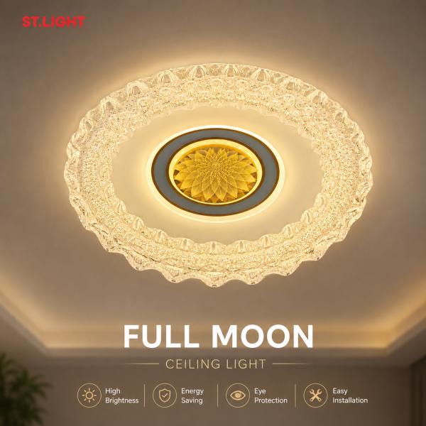 Flush Mount Ceiling Light