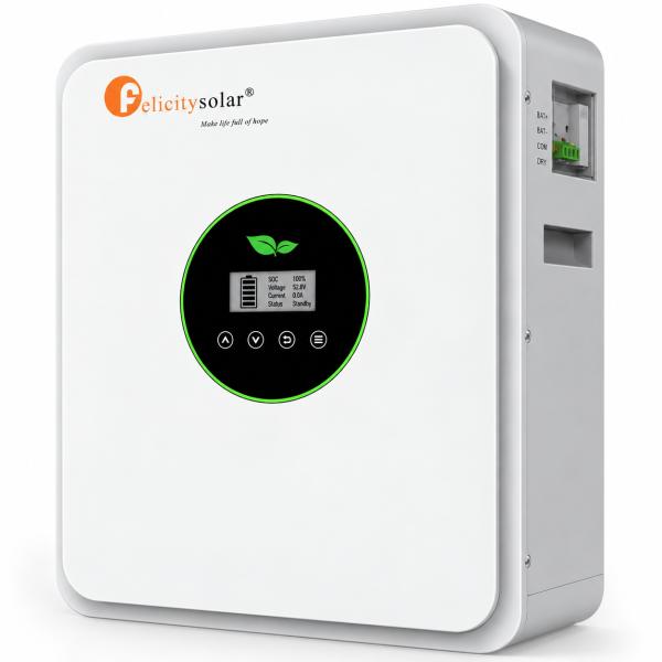 Felicity Solar 24V 2.56kWh Lithium Battery 