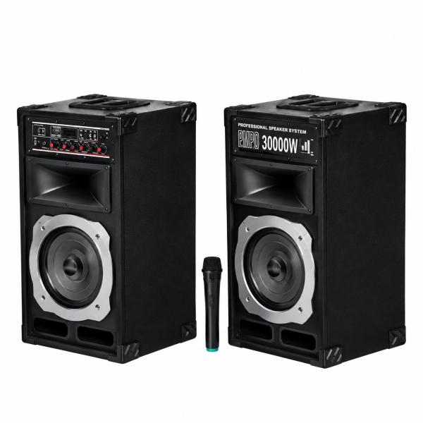Ailipu 9030AD Party Speaker System